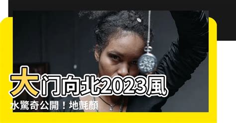 2023大門地氈顏色|【2023大門地氈顏色】2023兔年開運必看！如何用大。